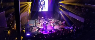 GFD Live